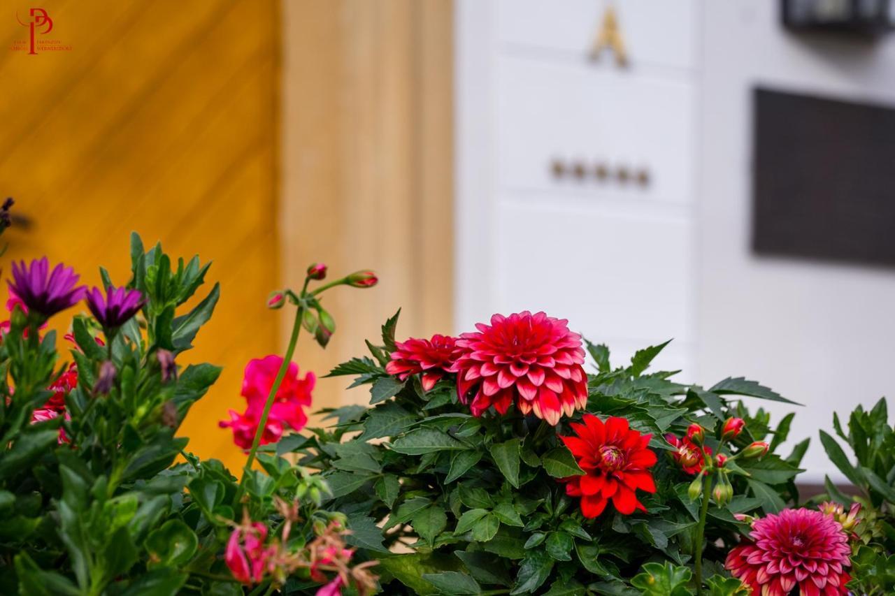 Palac Pakoszow Schlosshotel Wernersdorf Jelenia Góra Exteriör bild Dahlia 'Red Charm'